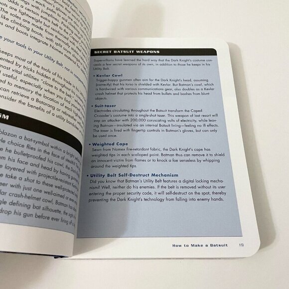 2005 The Batman Handbook The Ultimate Training Manual By Scott Beatty - Picture 14 of 16